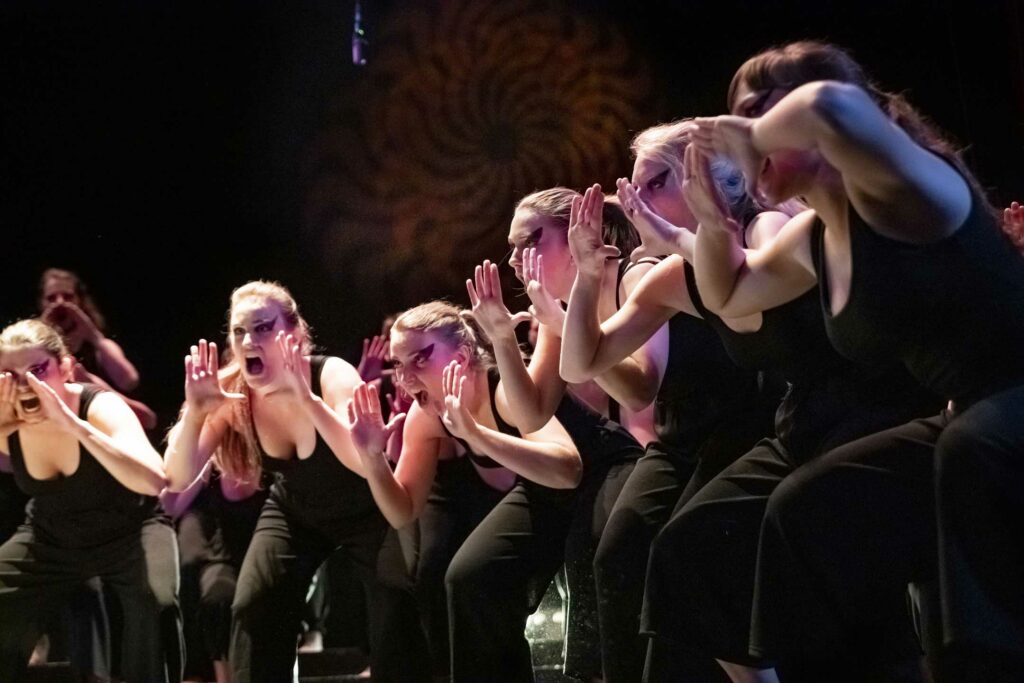 Spectacle Lumen, de la chorale universitaire de Nancy, Salle Poirel, 2019. Photographié par Alice Meyer