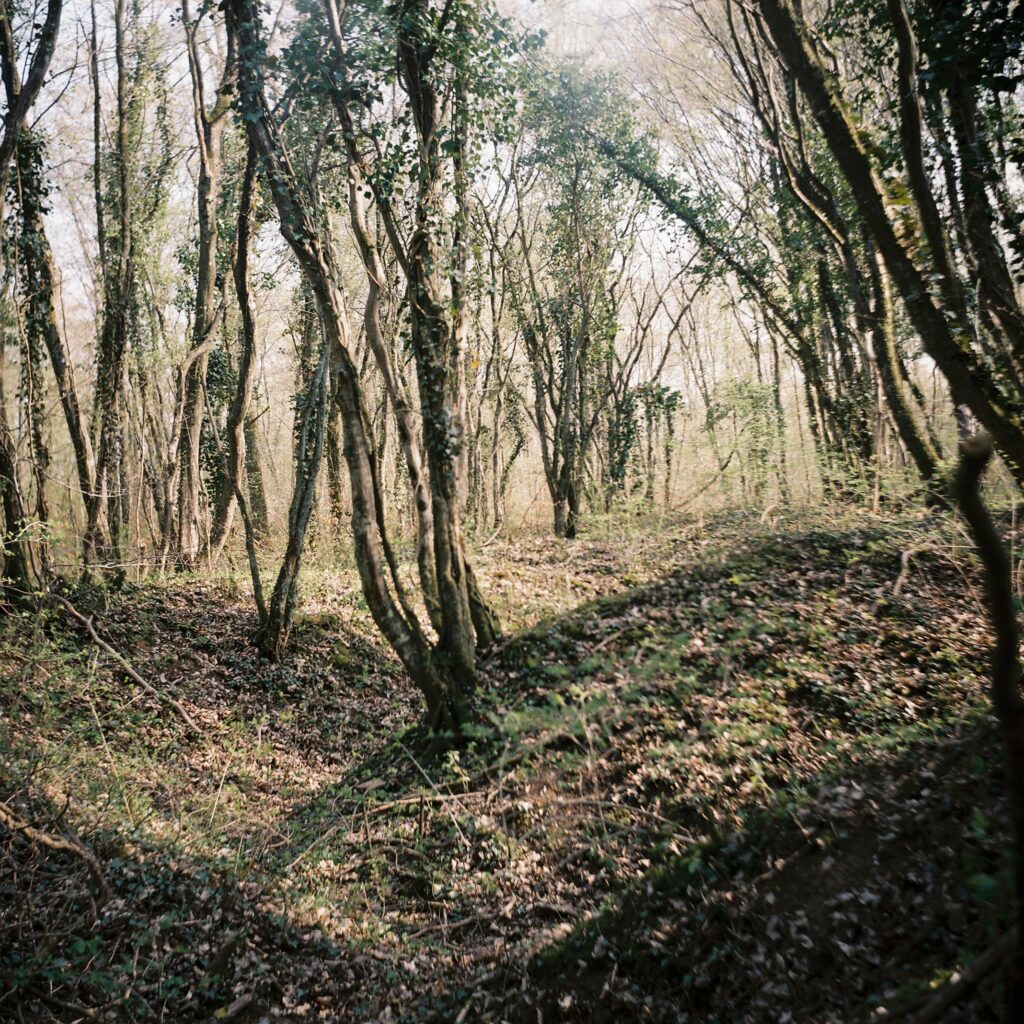 Traces de la guerre en Lorraine, Alice Meyer