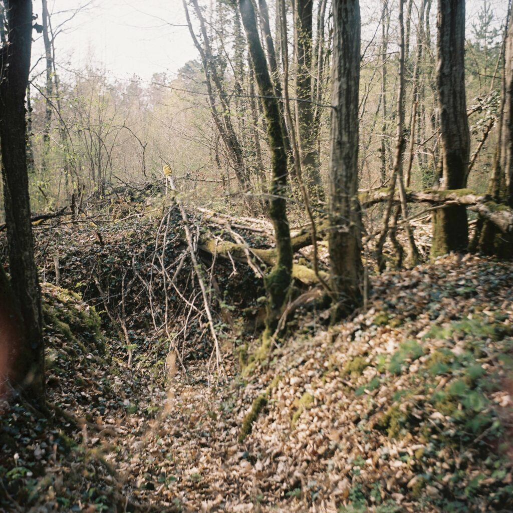 Traces de la guerre en Lorraine, Alice Meyer